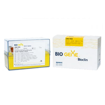 BIO GENE CMV PCR 150 TESTES (K168-6)