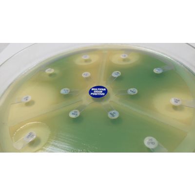 SISTEMA DE MULTIDISCO - MULTIFAR 12