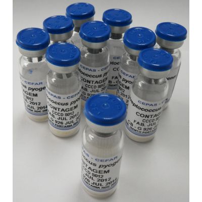 CEPAS CONCENTRADAS - BAC-FAR