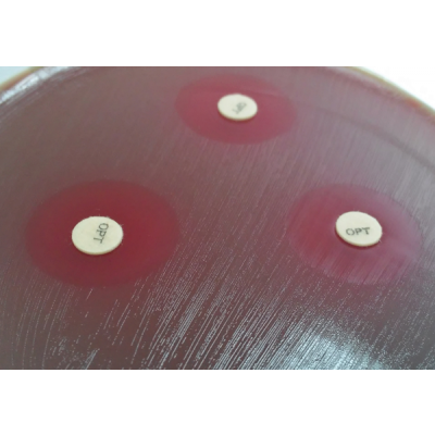 IDENTIFAR - DISCOS PARA IDENTIFICAÇÃO PRESUNTIVA DE BACTÉRIAS