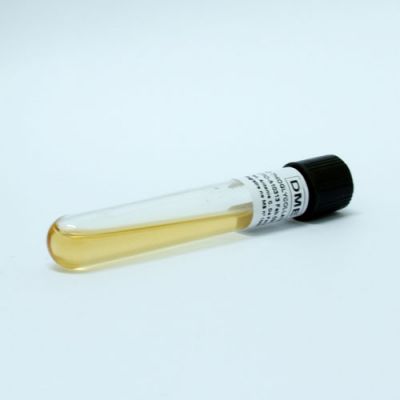 TIOGLICOLATO CALDO 5 ml
