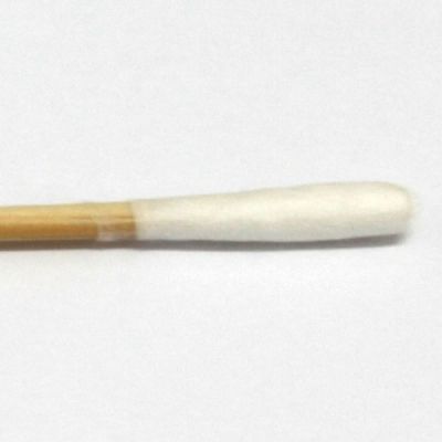 BAC-SWAB com HASTE DE MADEIRA