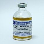 MUELLER HILTON AGAR 50ml