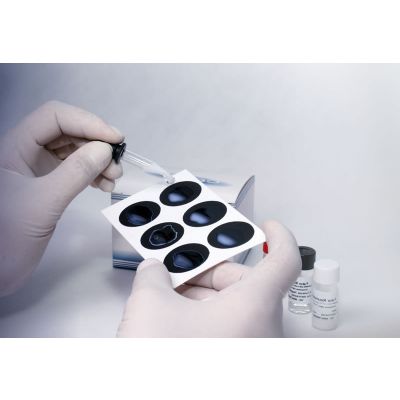 PCR LÁTEX – FRASCO