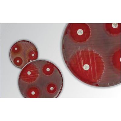 Discos de Suscetibilidade Antimicrobiana Thermo Scientific™ Oxoid™