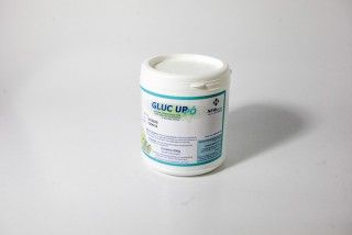 GLUC UP EM PÓ 600 g ABACAXI frasco com 600g