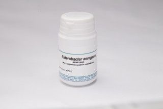 Enterobacter Aerogenes NEWP 0048 frasco com 5 discos