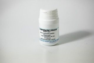 Enterobacter CLOACAE NEWP 0047 frasco com 05 discos