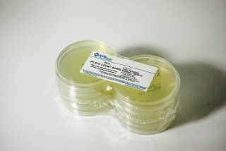 ÁGAR PCA pcte com 10 placas 90x15mm