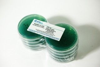 ÁGAR CLED pacote com 10 placas 90x15mm