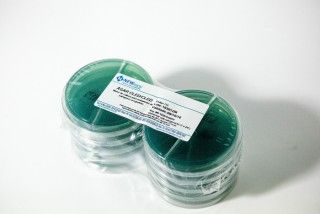 ÁGAR CLEDCLED pacote com 10 biplacas 90x15mm