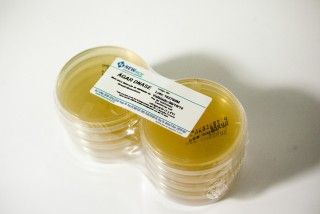 ÁGAR DNASE pacote com 10 placas 90x15mm