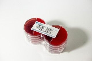 ÁGAR SANGUE / MAC CONKEY pacote com 10 biplacas 90x15mm