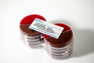 ÁGAR SANGUE THAYER-MARTIN pacote com 10 biblacas 90x15mm