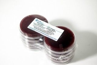 ÁGAR SANGUE de CARNEIRO com AZIDA pacote com 10 placas 90x15mm