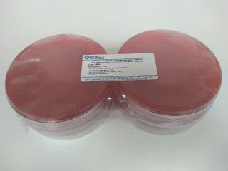 ÁGAR XLD PCTE com 10 PLACAS 140x15mm