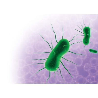 LIAISON® Bordetella pertussis Toxin IgG kit