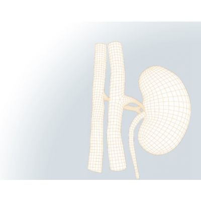 LIAISON ® Direct Renin