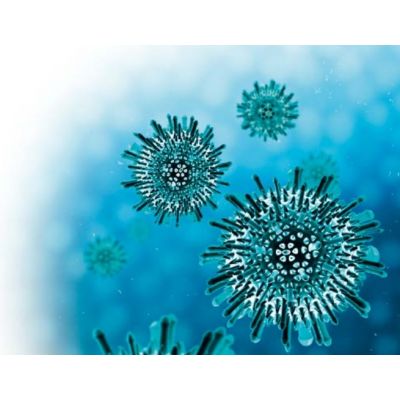 DiaSorin LIAISON ®  Adenovirus